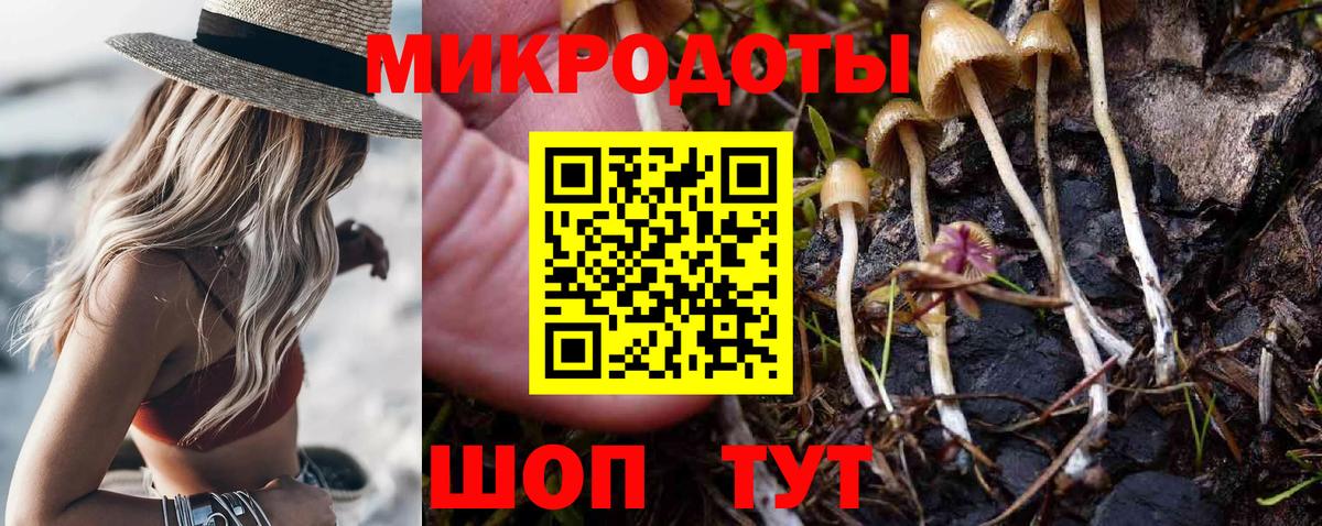 Псилоцибиновые грибы GOLDEN TEACHER Сухой Лог
