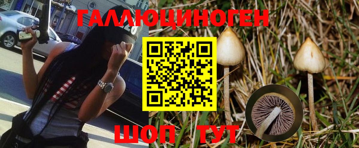 Галлюциногенные грибы Magic Shrooms  Вход с VPN  Сухой Лог 