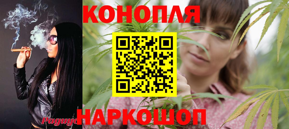 Марихуана планчик Сухой Лог